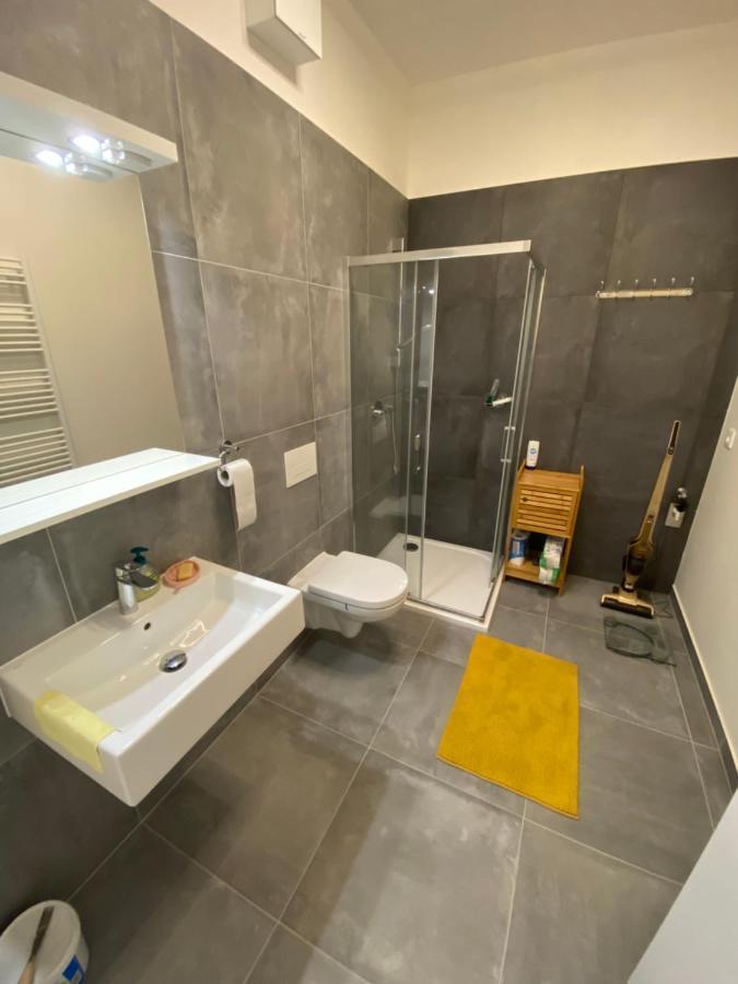 Apartmany V Javorne Na Sumave Cachrov 外观 照片