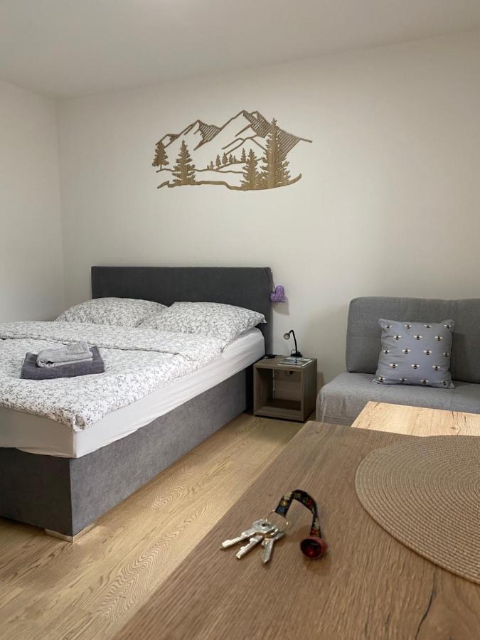 Apartmany V Javorne Na Sumave Cachrov 外观 照片